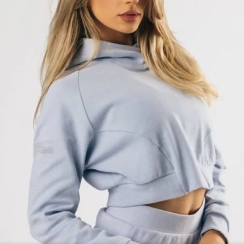 Alphalete Pro Identity Crop Hoodie